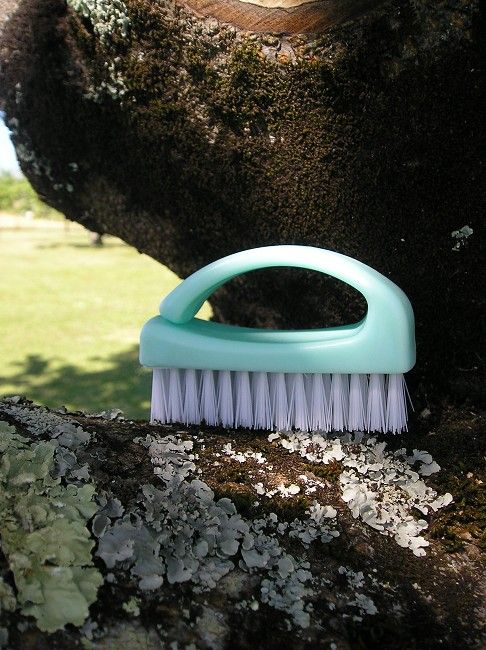 brosse à ongles